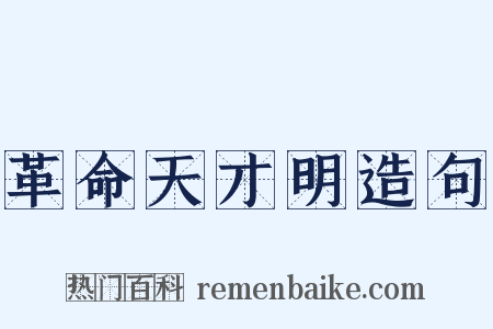 革命天才明造句是什么意思的图片